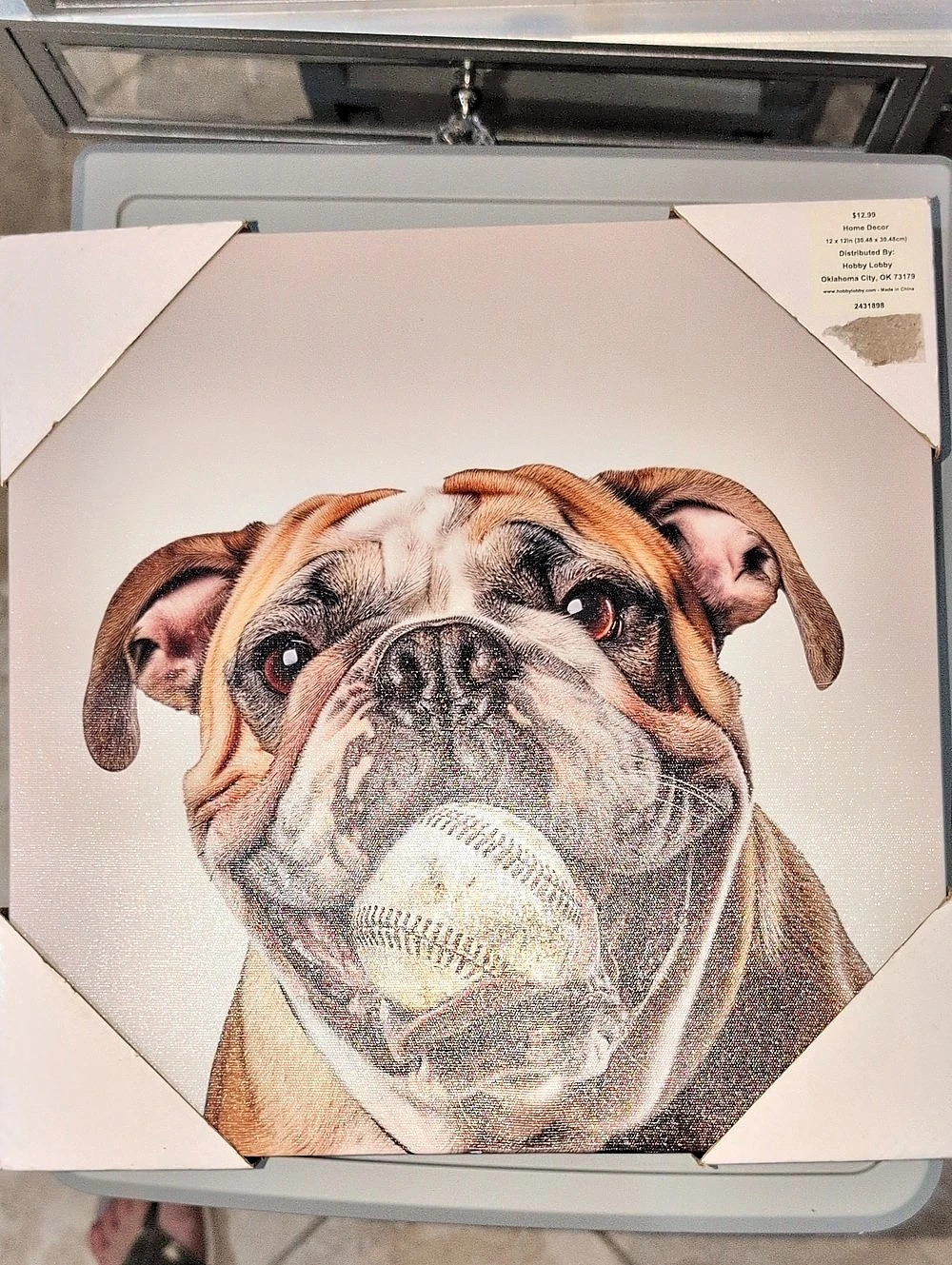 Hobby Lobby English Bulldog with Baseball Canvas Wall Art